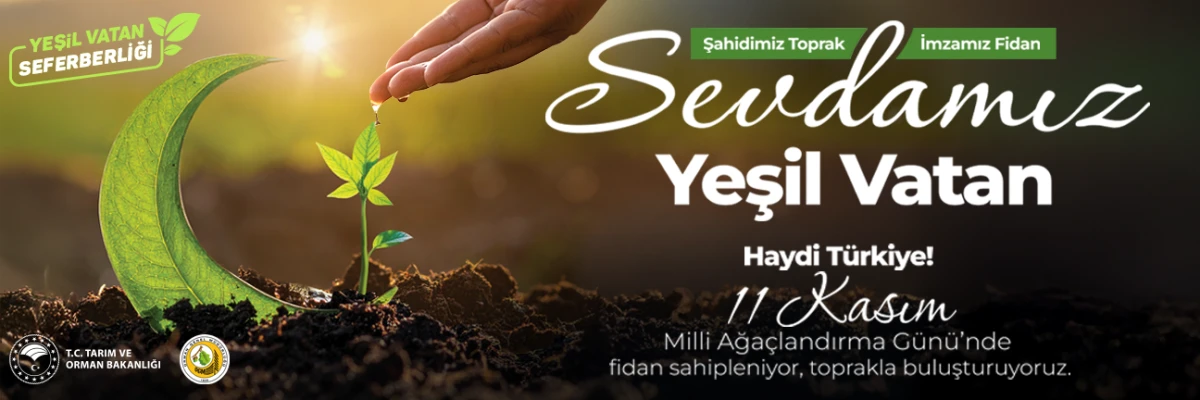  11 Kasım Milli Ağaçlandırma Günü’nde Türkiye Geleceğe Nefes Oluyor