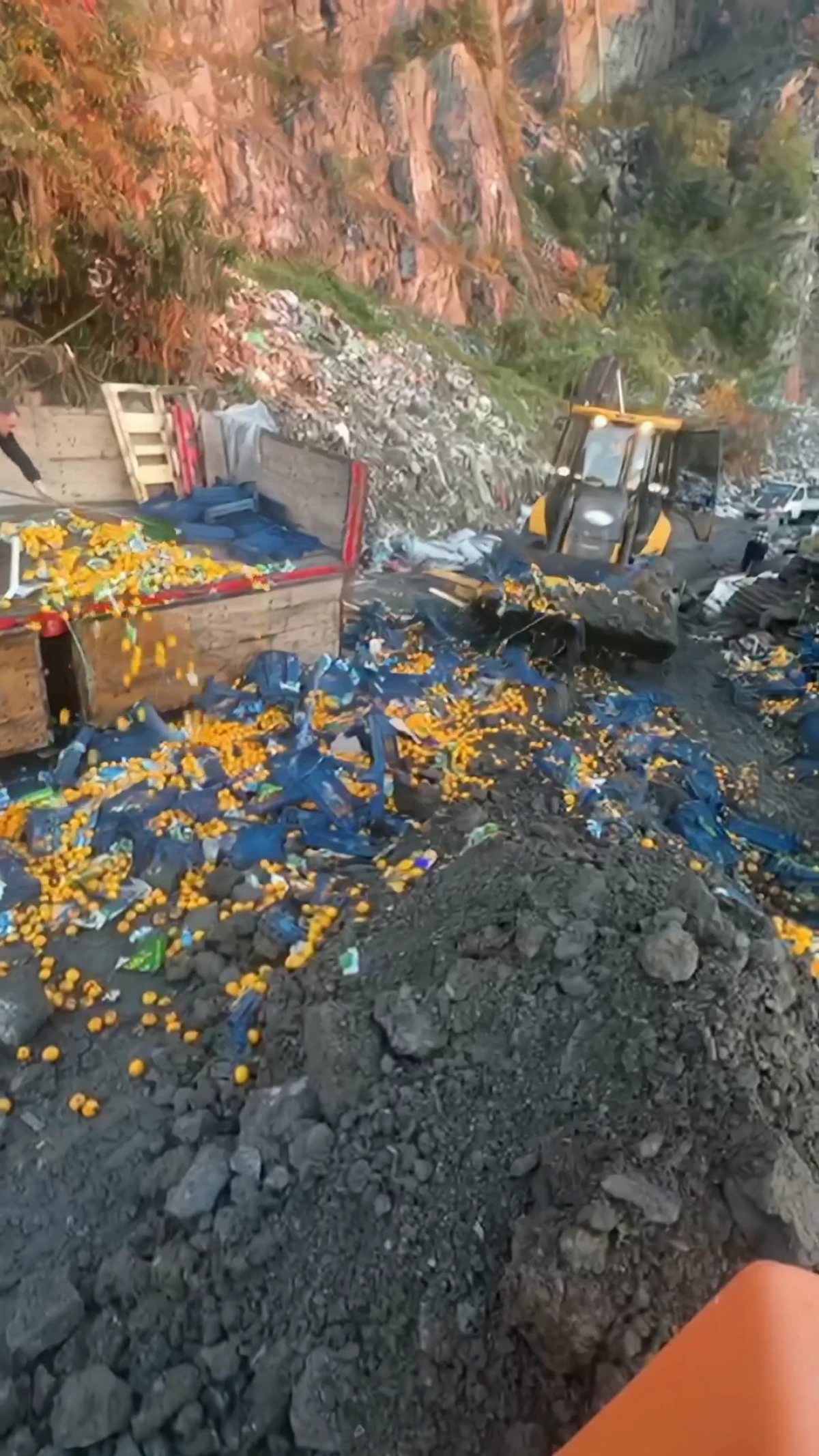 6 Ton Zehirli Mandalina İmha Edildi