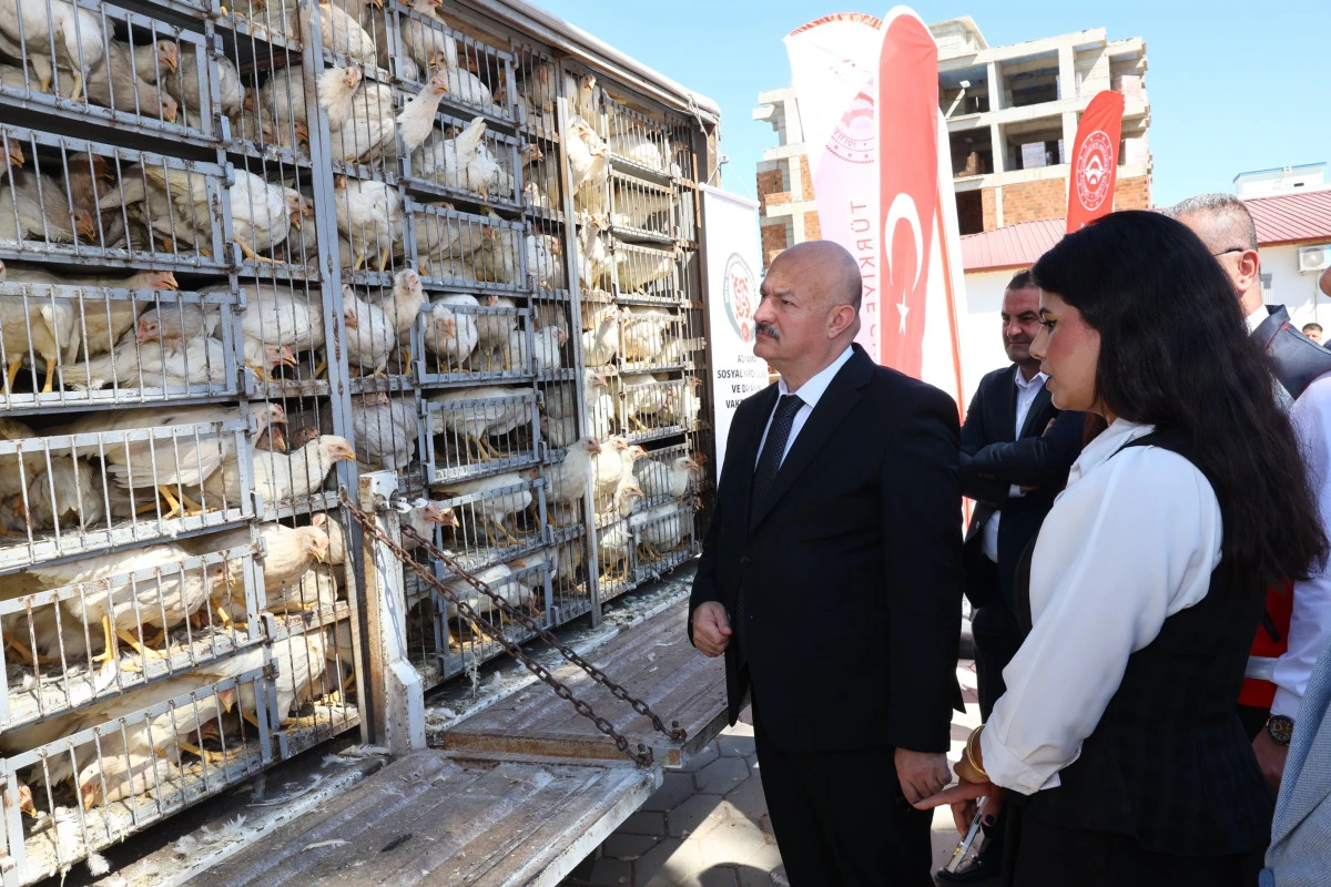 Adıyaman&rsquo;da 150 Aileye Canlı Tavuk ve Horoz Desteği
