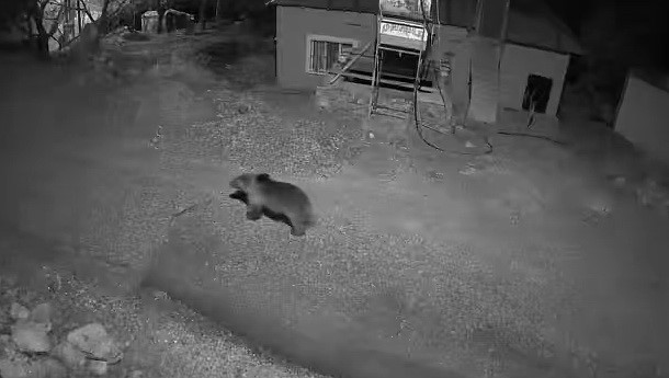 Adıyaman’da Araçların Camları Buz Tuttu