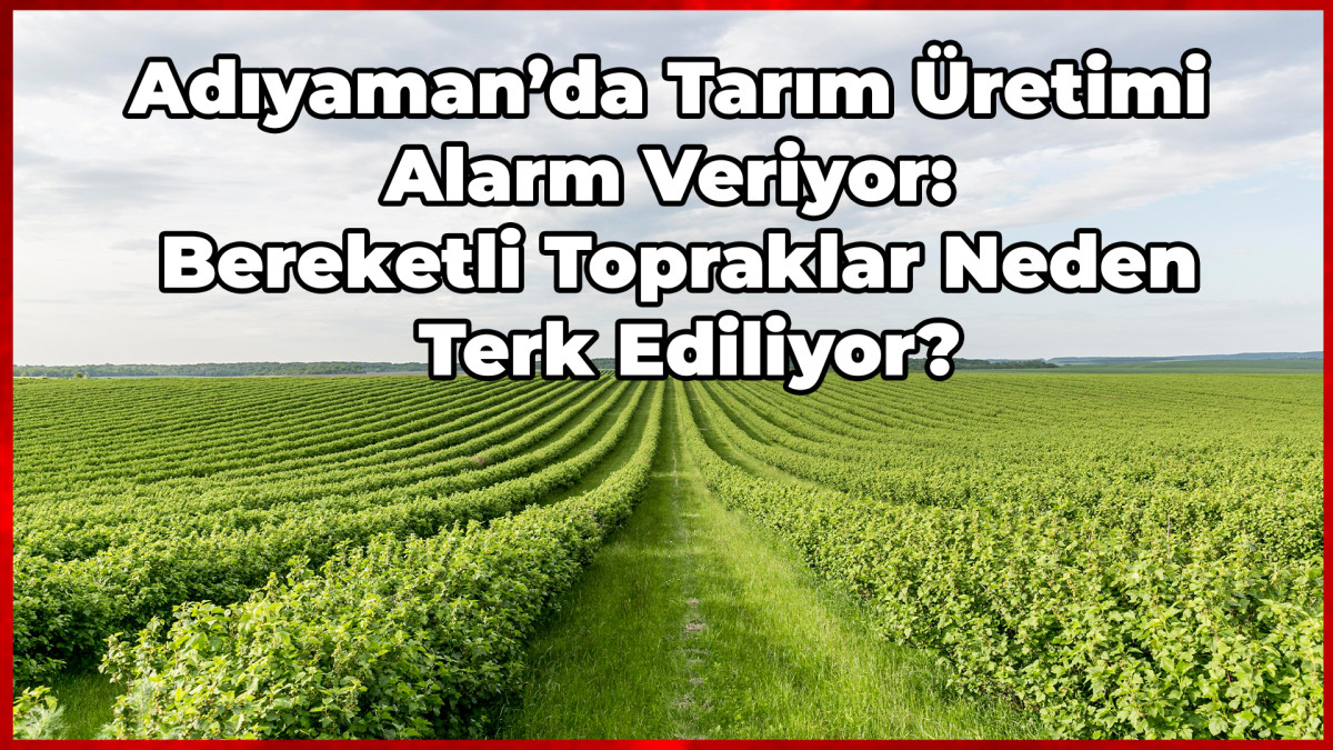 Adıyaman’da Tarım Üretimi Alarm Veriyor: Bereketli Topraklar Neden Terk Ediliyor?