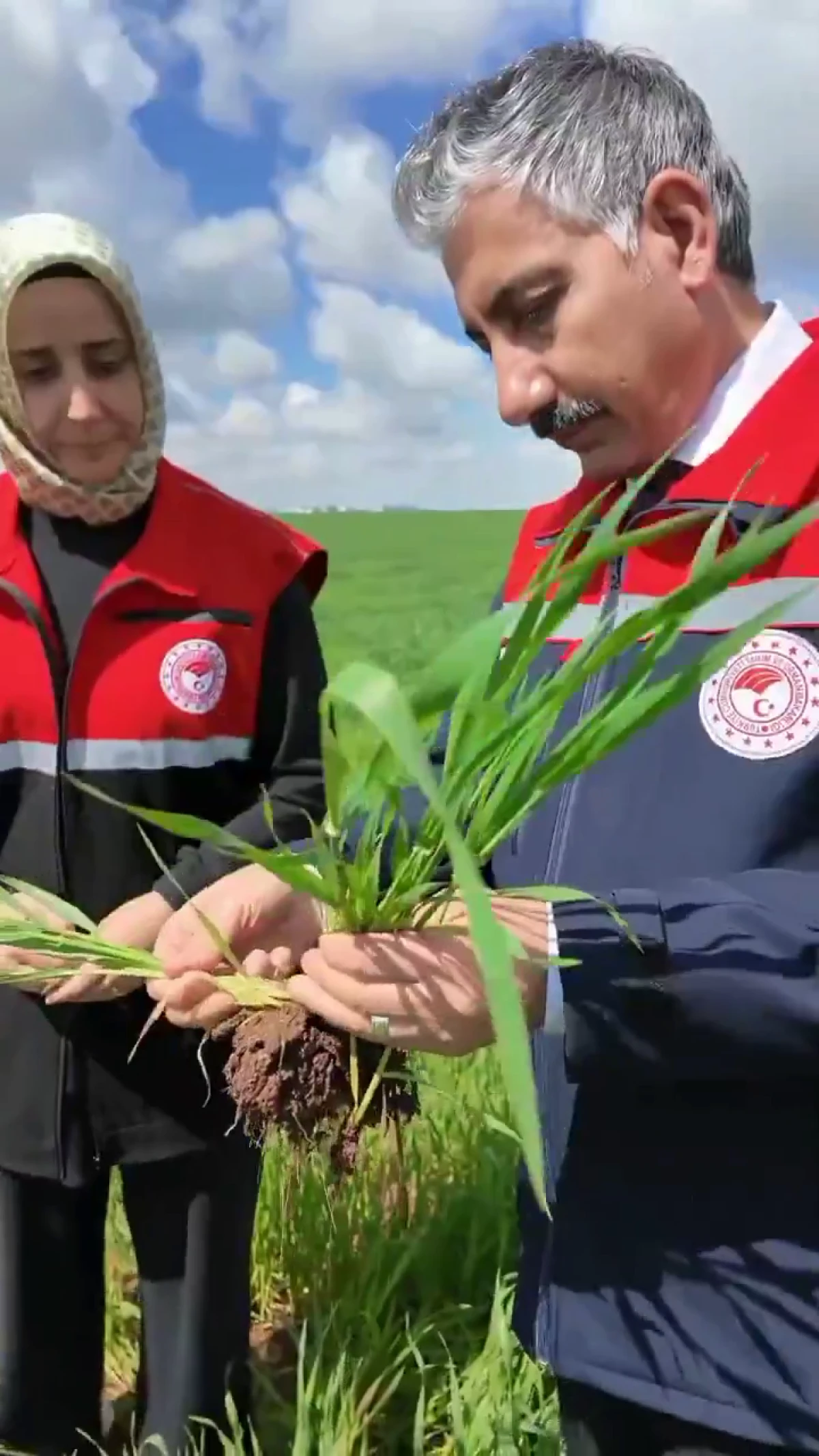 Adıyaman&rsquo;da Yoğun Yağışlar Tarım &Uuml;retimini Etkiliyor