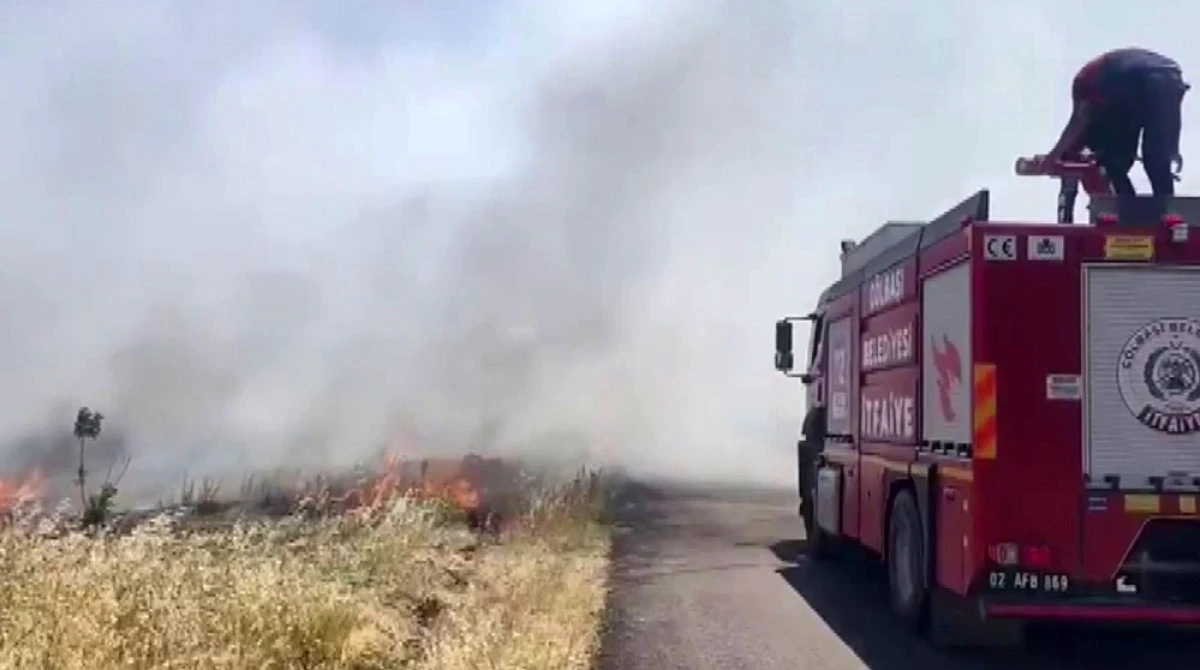 Anız yangını ormanlık alana sıçradı   