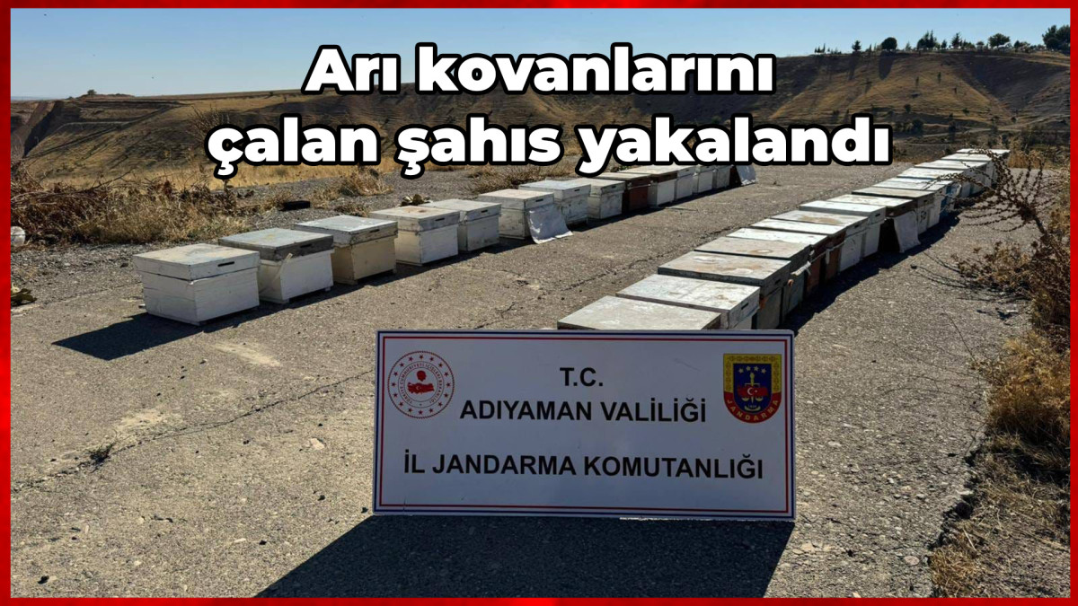 Arı kovanlarını çalan şahıs yakalandı