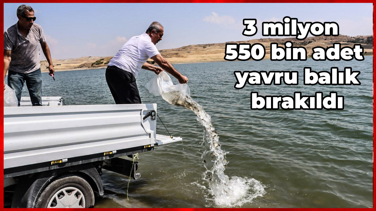 Baraj göletine 3 milyon 550 bin adet yavru balık bırakıldı