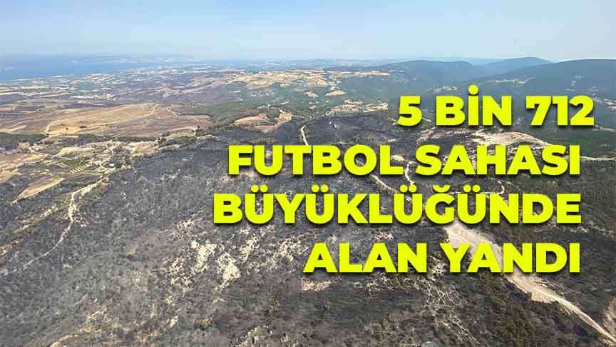 Çanakkale’deki orman yangınlarında 5 bin 712 futbol sahası büyüklüğünde alan yandı