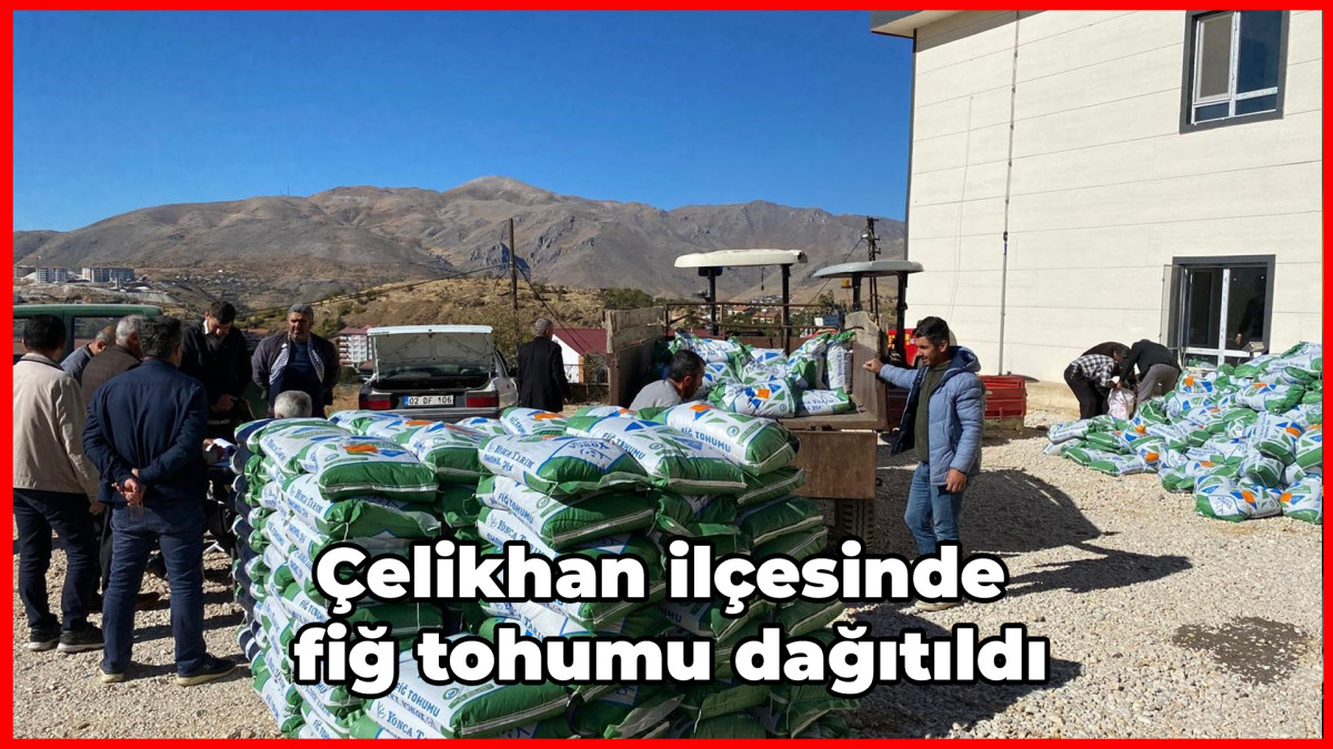 Çelikhan ilçesinde fiğ tohumu dağıtıldı   