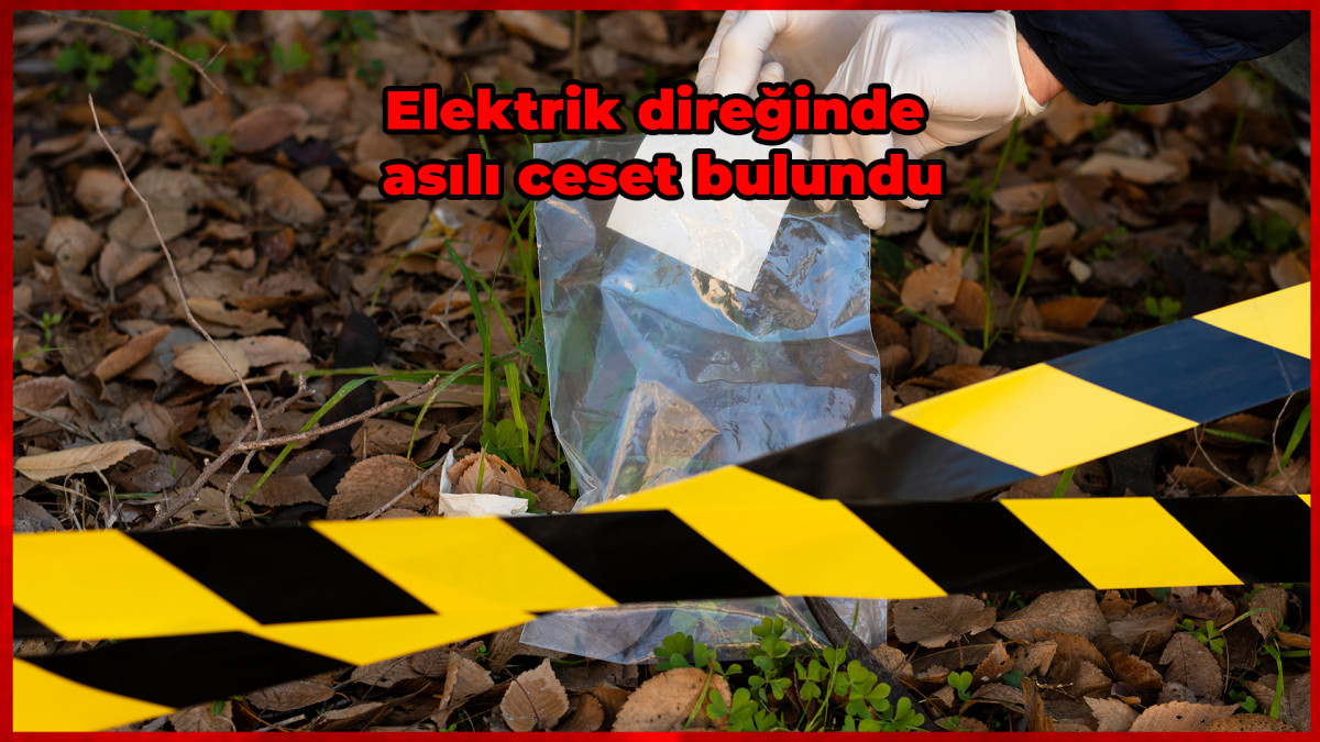 Elektrik direğinde asılı ceset bulundu