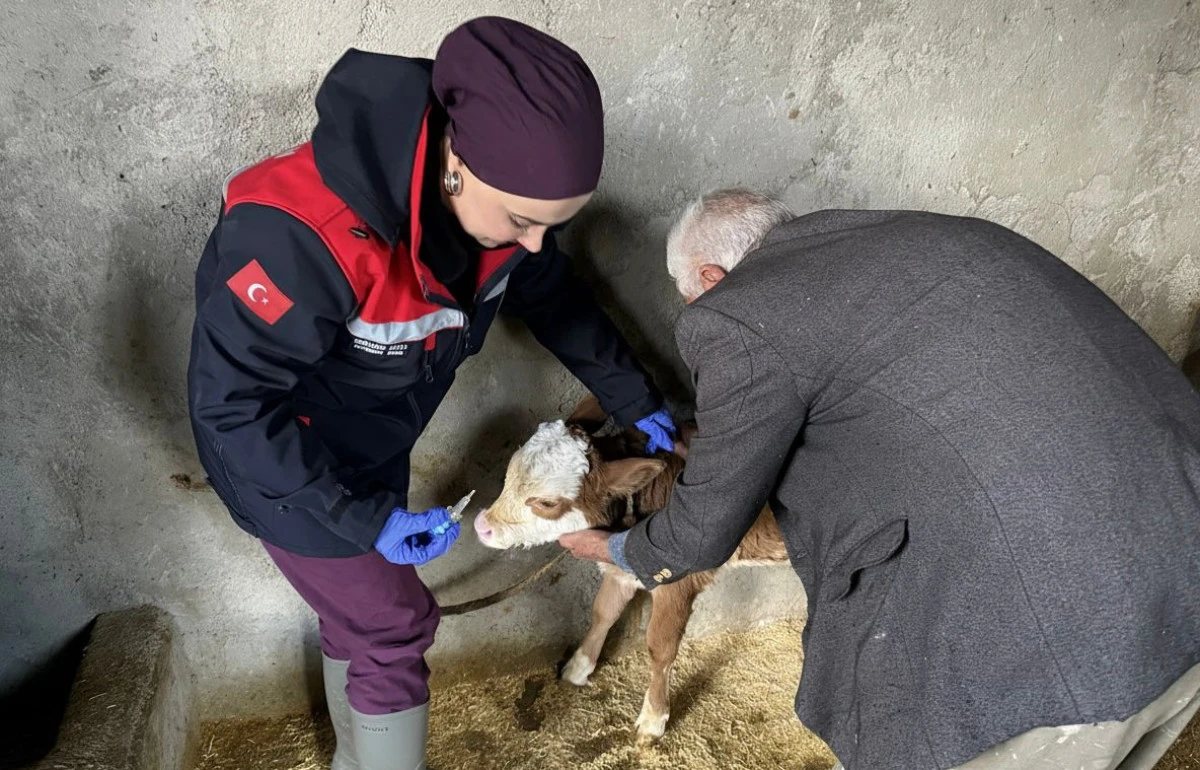 İl M&uuml;d&uuml;rl&uuml;ğ&uuml; Sahada: Zoonoz Hastalıklara Karşı &Ouml;nlem Sıkılaştırıldı