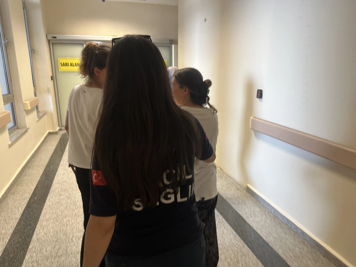 Kadının Kulağını Kene Isırdı   