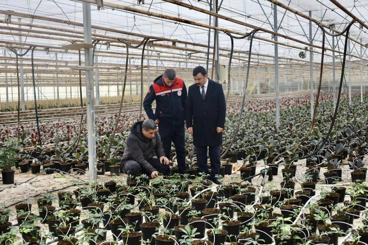 Kahta Kaymakamı Soysal&rsquo;dan Sera Ziyareti