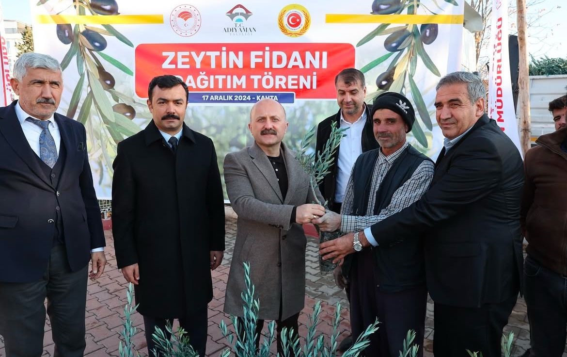 Kahta'da Çiftçilere 70 Bin Zeytin Fidanı Dağıtıldı