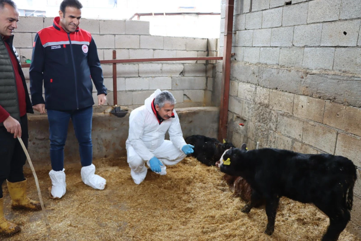 Kırsalda Bereket, Hayvancılığa Destek Projesi Doyran K&ouml;y&uuml;&rsquo;nde Meyve Veriyor