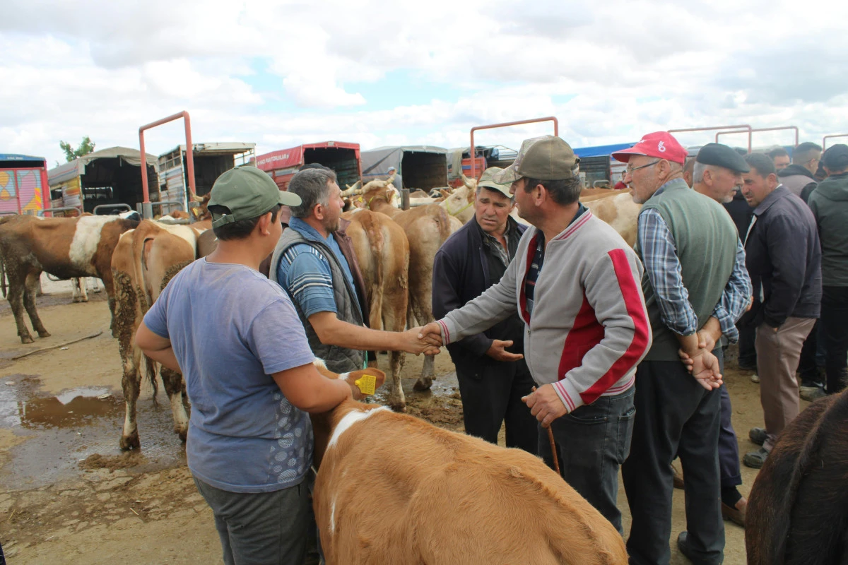 Kurban Bayramı &Ouml;ncesi Uyarı: Bu Kurallara Uymayana Ceza Kapıda!