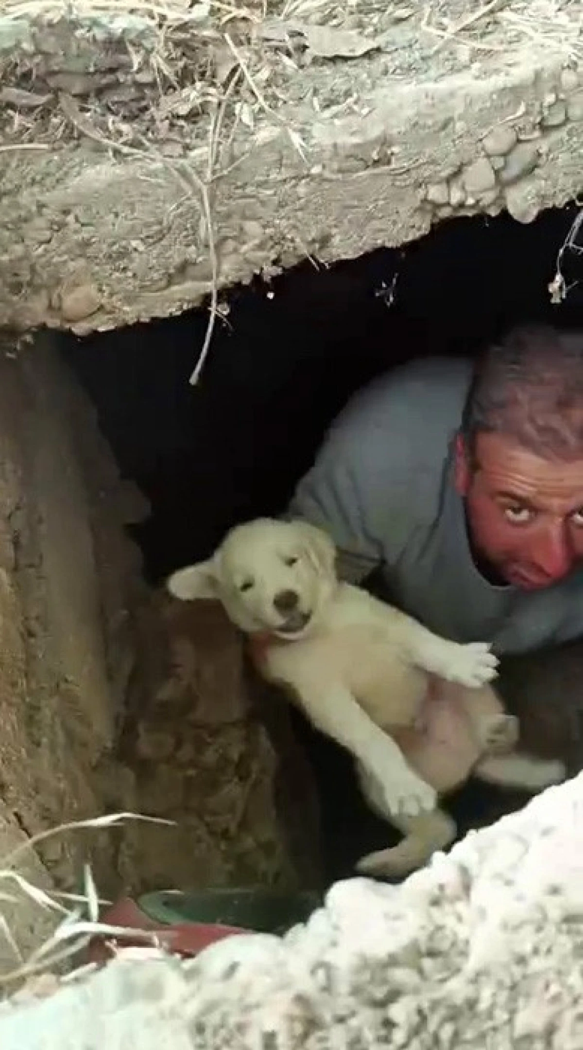Lağım Kuyusuna Düşen Yavru Köpekleri Vatandaşlar Kurtardı   