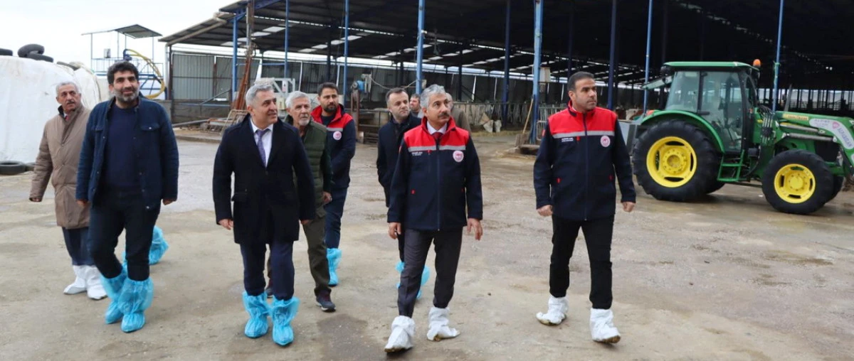 Merkez G&ouml;zebaşı K&ouml;y&uuml;&rsquo;ndeki Hastalıktan Ari İşletmeye Gidildi