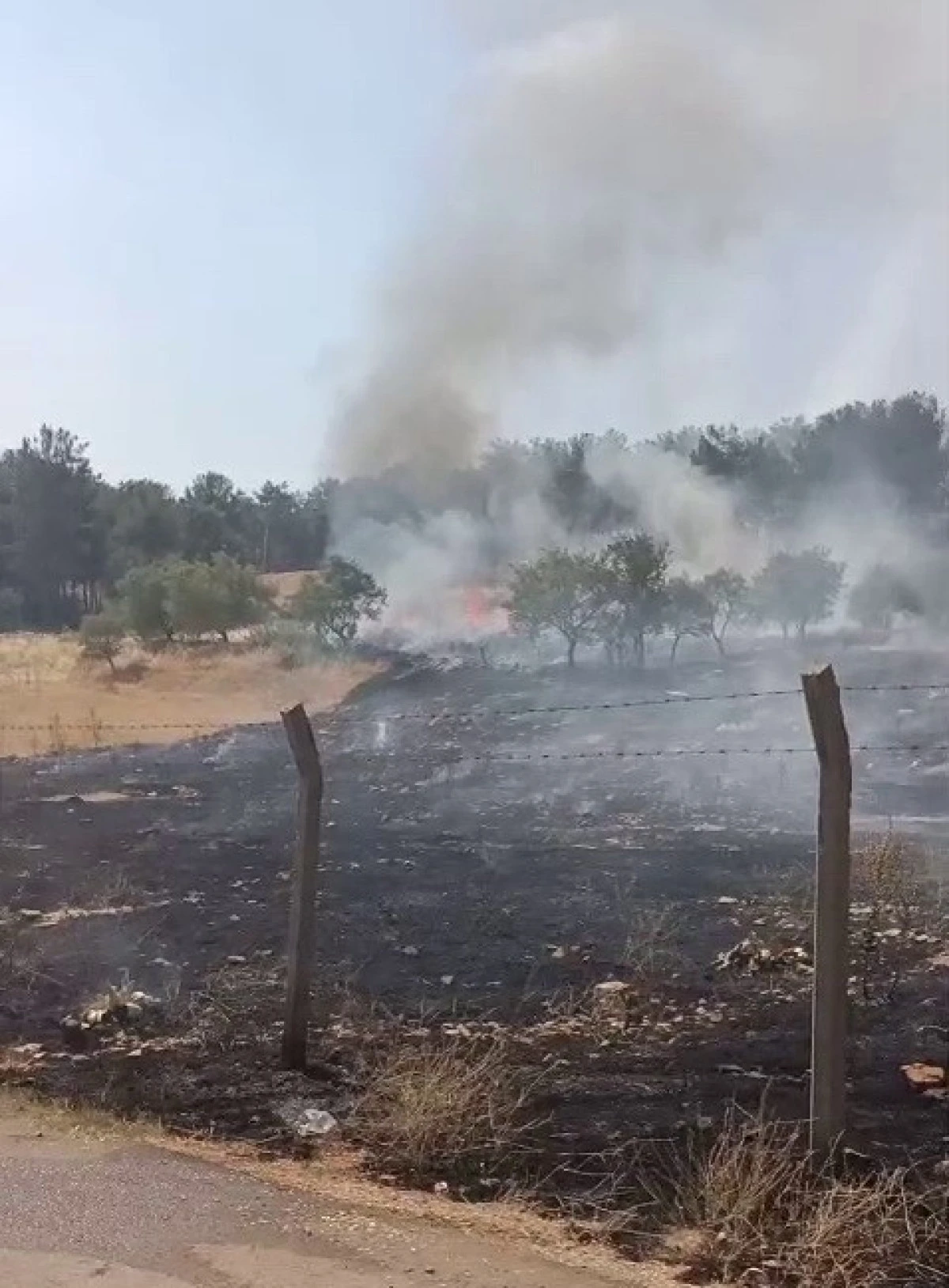 Ormanlık Alanda Çıkan Yangın Korkuttu   