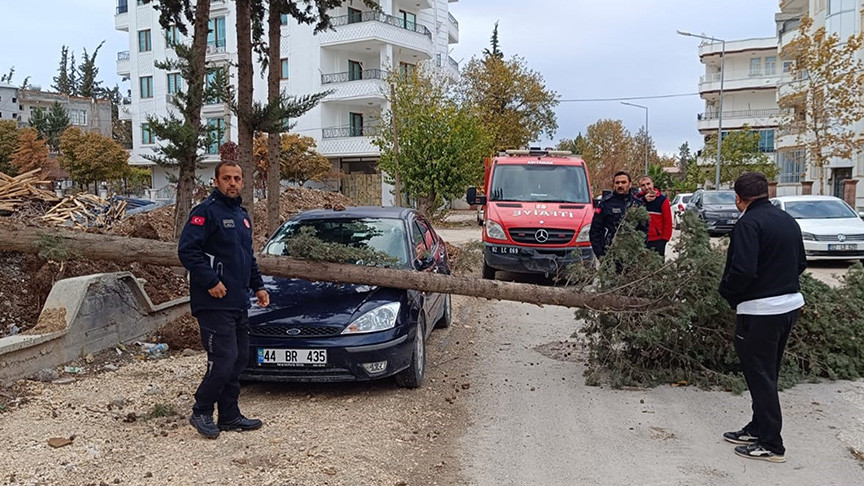 Park Halindeki Otomobilin Üzerine Ağaç Devrildi