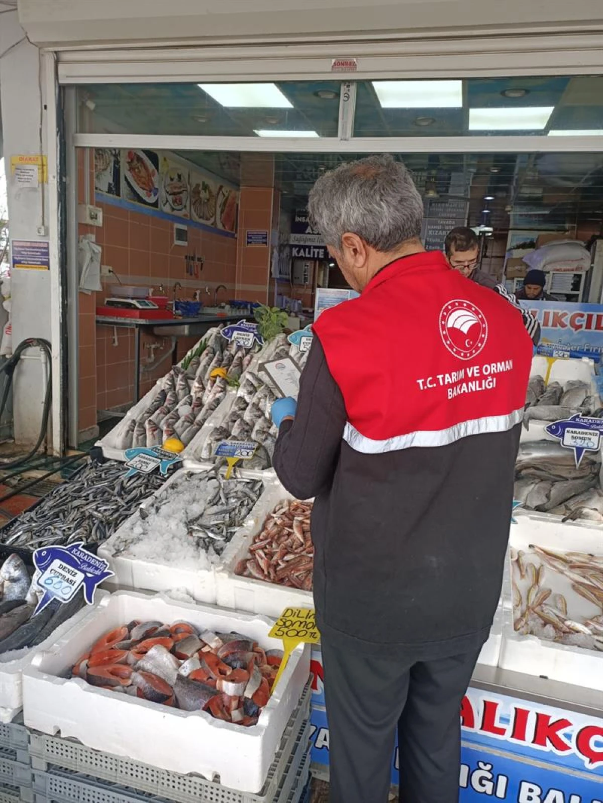 Su &Uuml;r&uuml;nleri Avcılığı ve Satış Noktalarına Eş Zamanlı Denetim