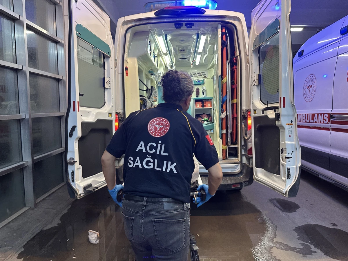 Yılanın Isırdığı Kişi Hastaneye Kaldırıldı   